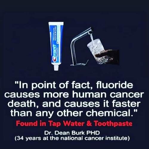 ToxicFluoride